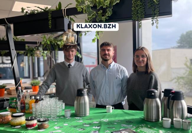 alternance rennes bts