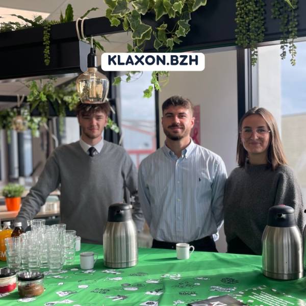 alternance rennes bts